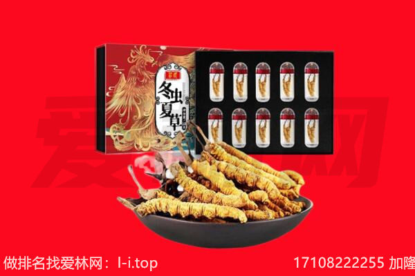 浑南区回收虫草.jpg